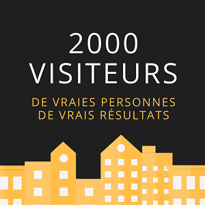 Achat trafic web 2000 visiteurs